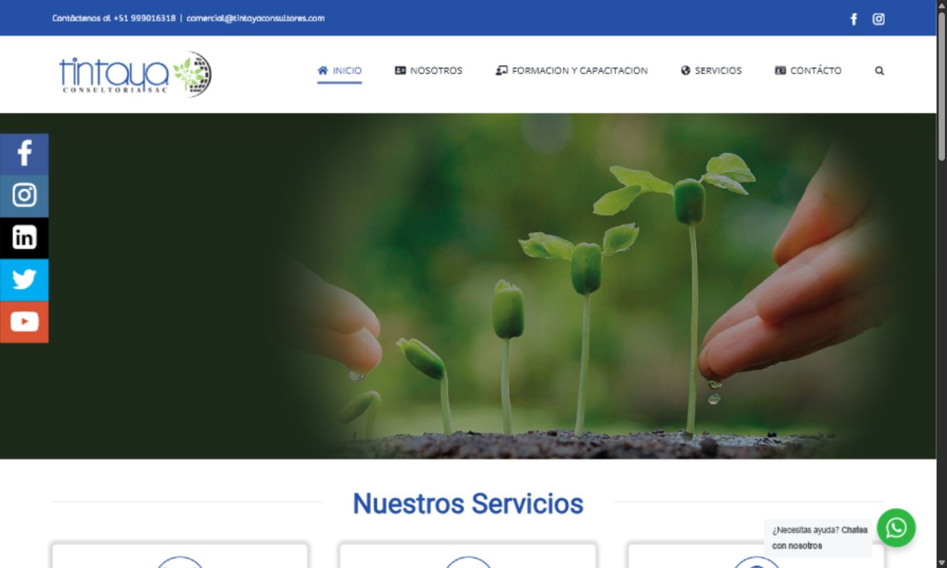 Captura de la web Tintaya Consultores