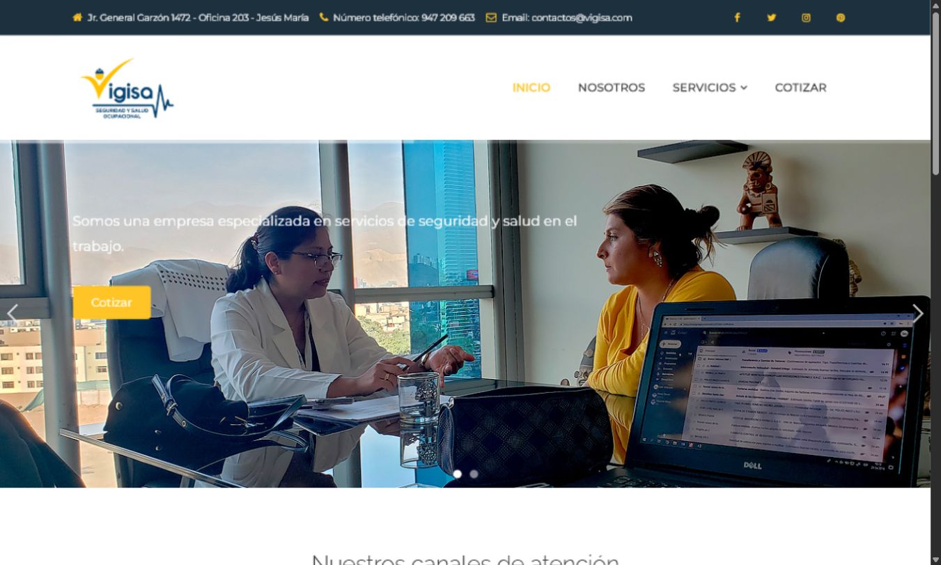 Captura de la web Vigisa